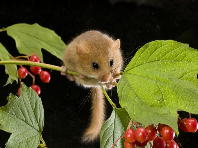 West Sussex County Council votes to increase road congestion throughout Sussex
